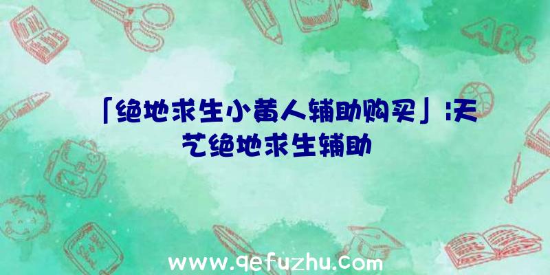 「绝地求生小黄人辅助购买」|天艺绝地求生辅助